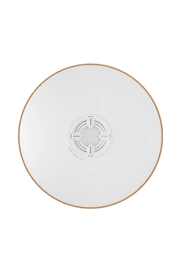 Braytron JADE SLR WDN RND 45W 3IN1 CEILING LIGHT