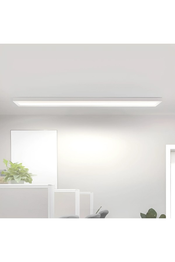 Braytron BACKLITE SRC 50W 300x1200 WHT 3IN1 LED PANEL L