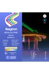 Braytron NEON 8x16 220V 4000K NEON LED STRIP