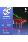 Braytron NEON 8x16 220V RED NEON LED STRIP