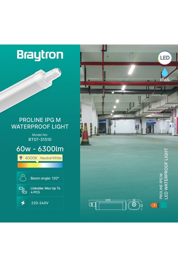 Braytron PROLINE IPG M 60W 4000K IP65 WA.PROOF LIGHT