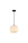 Braytron S009R 1H 1xE27 OPL BLC PENDANT LIGHT