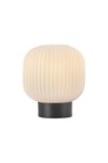 Braytron S009T 1H 1xE27 OPL BLC TABLE LAMP