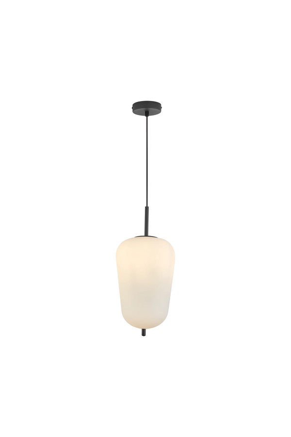 Braytron S011R 1H 1xE27 OPL BLC PENDANT LIGHT