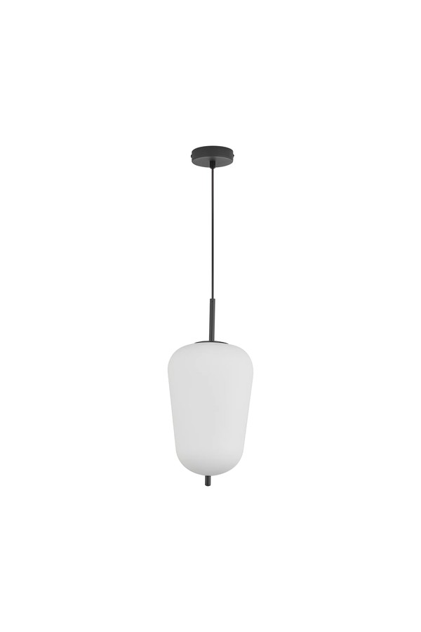 Braytron S011R 1H 1xE27 OPL BLC PENDANT LIGHT