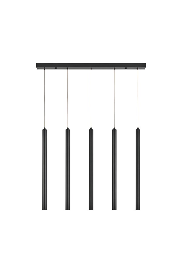 Braytron G007S 1H 5xG9 BLC PENDANT LIGHT
