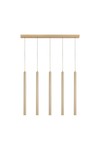 Braytron G007S 1H 5xG9 GLD PENDANT LIGHT
