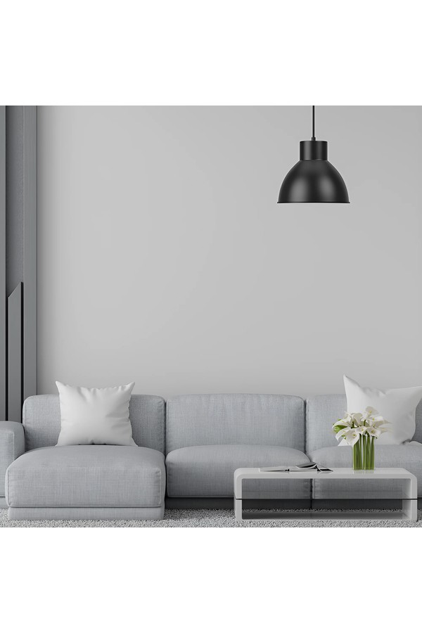 Braytron P008R 1H 1xE27 BLC PENDANT LIGHT