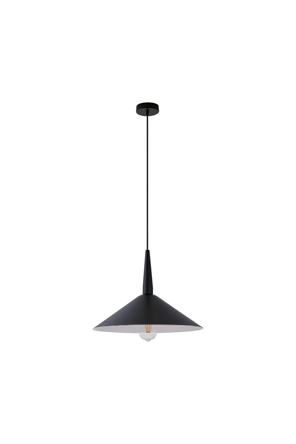 Braytron P009R 1H 1xE27 BLC PENDANT LIGHT