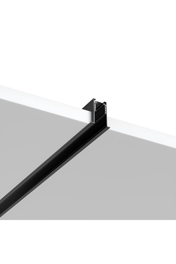 Braytron M20A RC01 2M 48VDC BLC MAG.RAIL