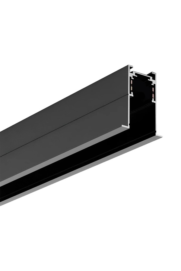 Braytron M20A RC01 2M 48VDC BLC MAG.RAIL