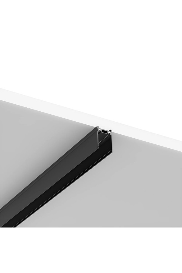 Braytron S20B SR03 2M 48VDC BLC MAG.RAIL