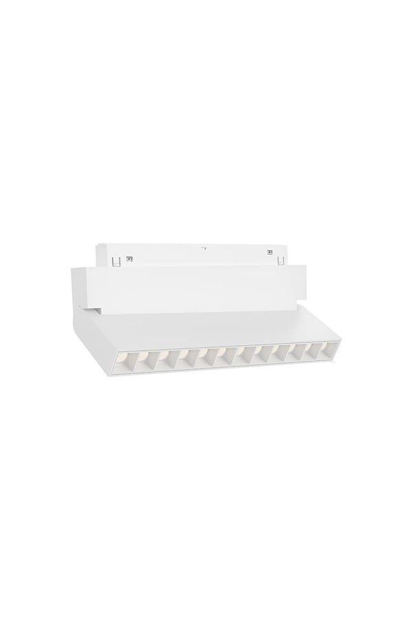 BRY-WSL250-12W-48VDC-3IN1-WHT-MAG. LINEAR