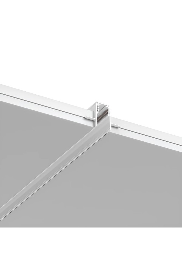 BRY-M20A-TR01-2M-48VDC-WHT-MAG.RAIL