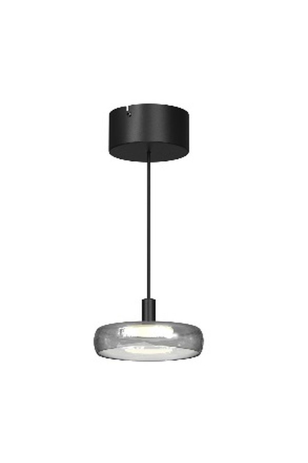 Pendant luminaire  MOD498PL-L13BK1