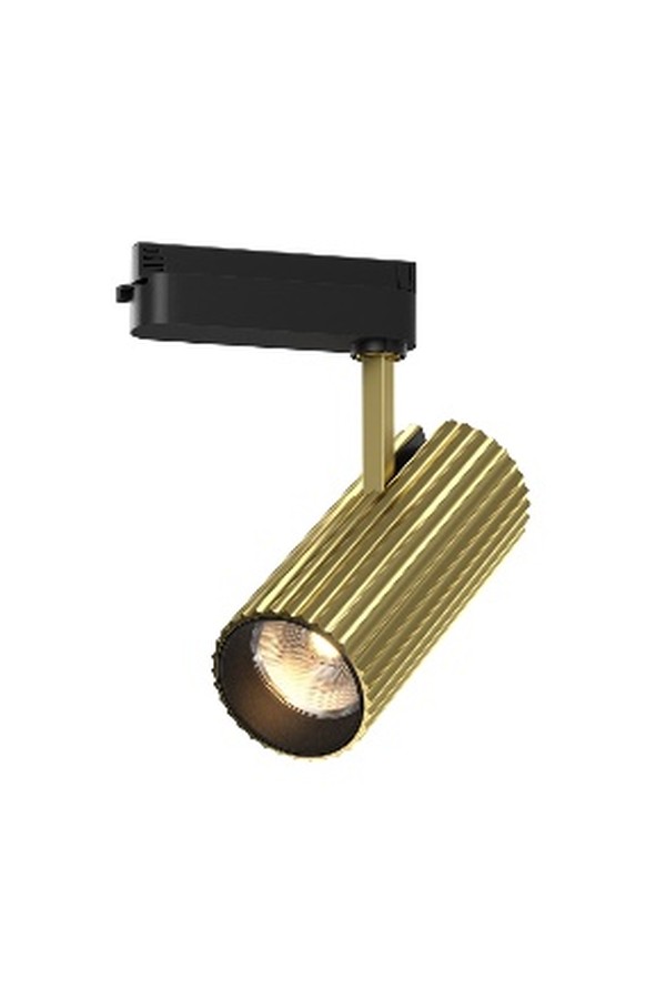 Track luminaire TR250-30W3K-BS