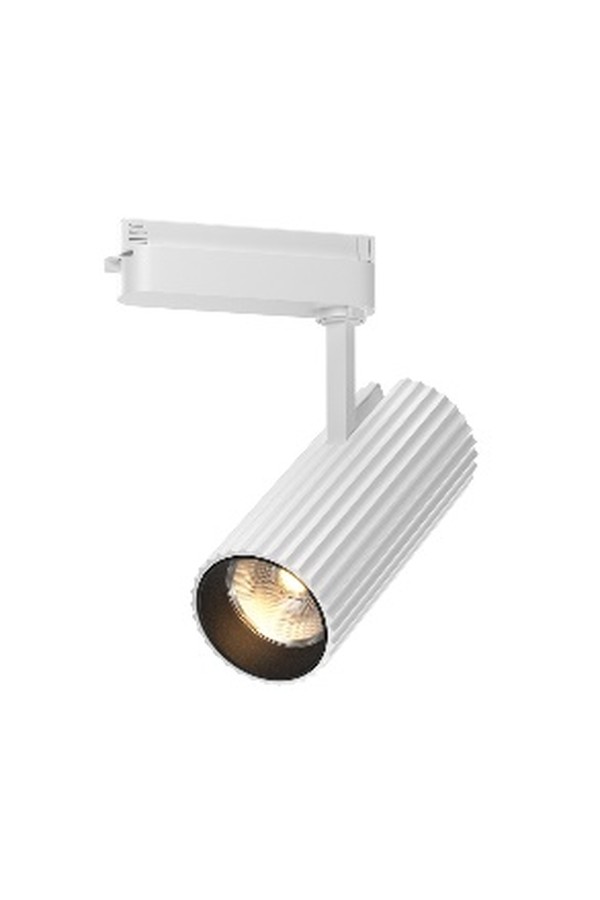 Track luminaire TR250-30W3K-W