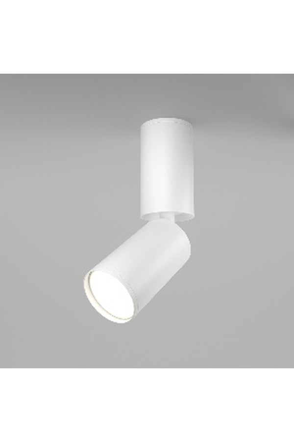 Ceiling luminaire C051CL-01W