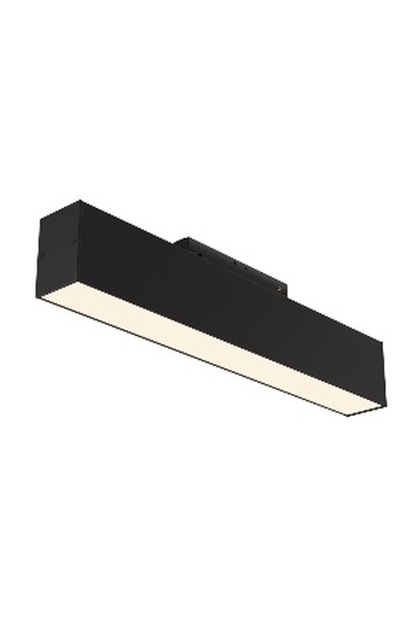 Track luminaire TR012-2-12W3K-B