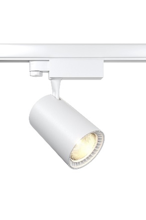 Track luminaire TR029-3-20W4K-S-W