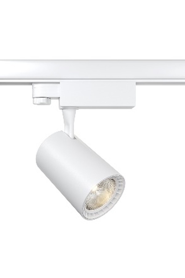 Track luminaire TR029-3-10W3K-S-W