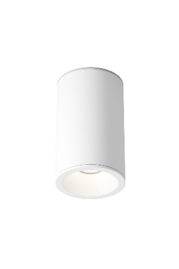 Ceiling luminaire C029CL-01-S-W