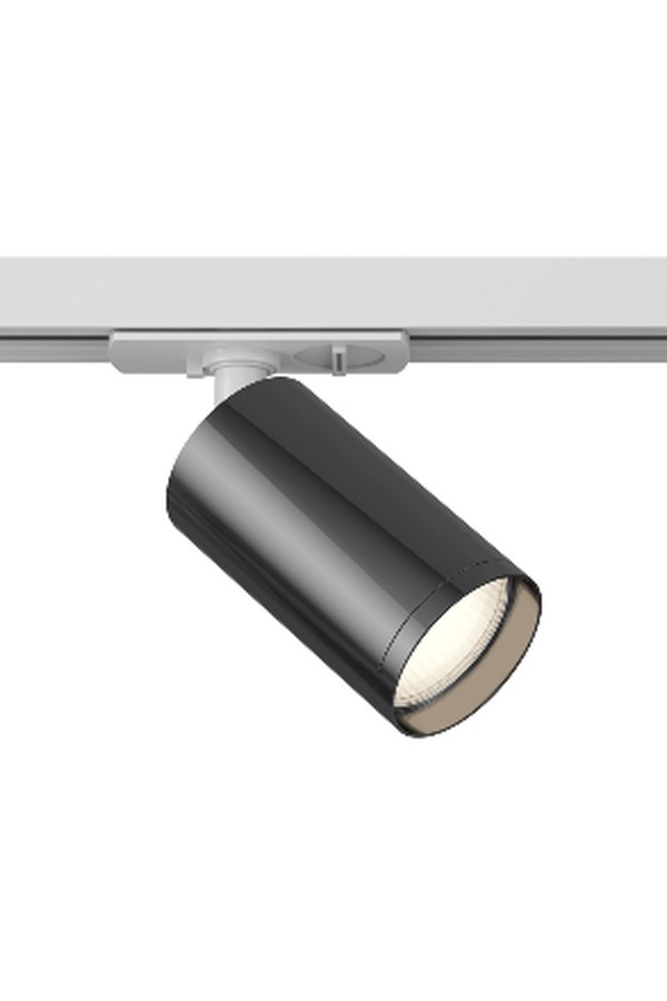 Track Luminaire TR020-1-U-GU10-WGF