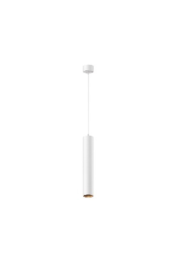 Pendant luminaire P072PL-L12W3K-1