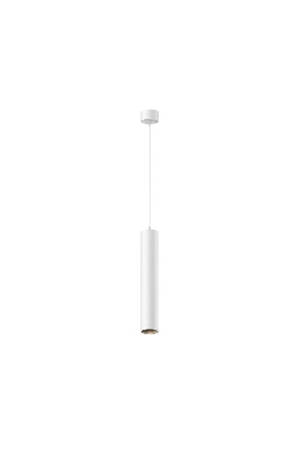 Pendant luminaire P072PL-L12W4K-1