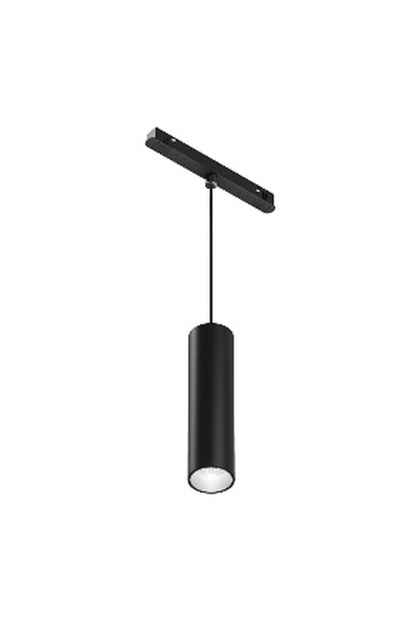 Pendant track luminaire TR041-4-12WTW-DD-B