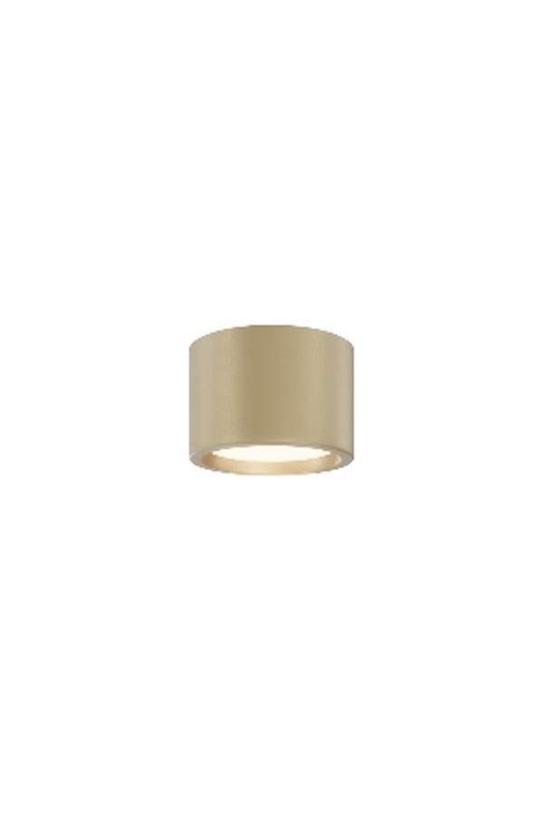 Ceiling luminaire C090CL-10W3K-MG