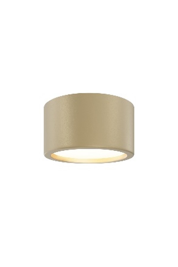 Ceiling luminaire C090CL-15W3K-MG