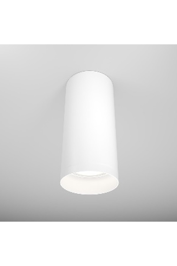 Ceiling luminaire C010CL-01W