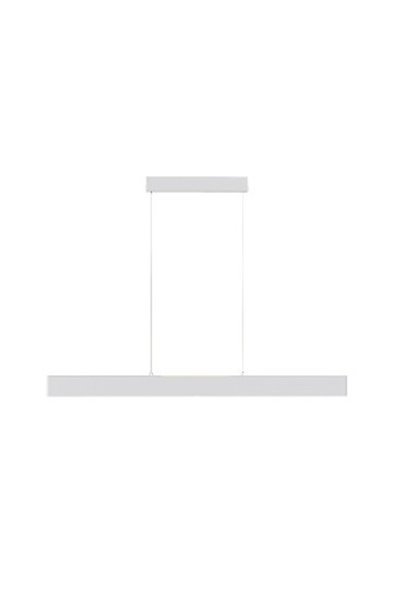 Pendant luminaire P010PL-L30W
