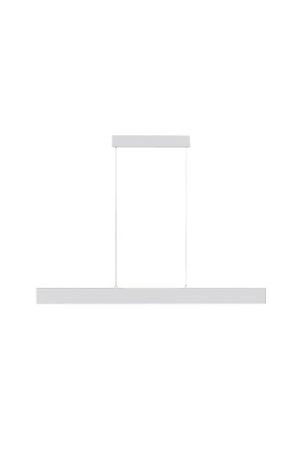 Pendant luminaire P010PL-L30W