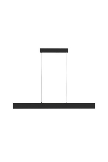 Pendant luminaire P010PL-L30B