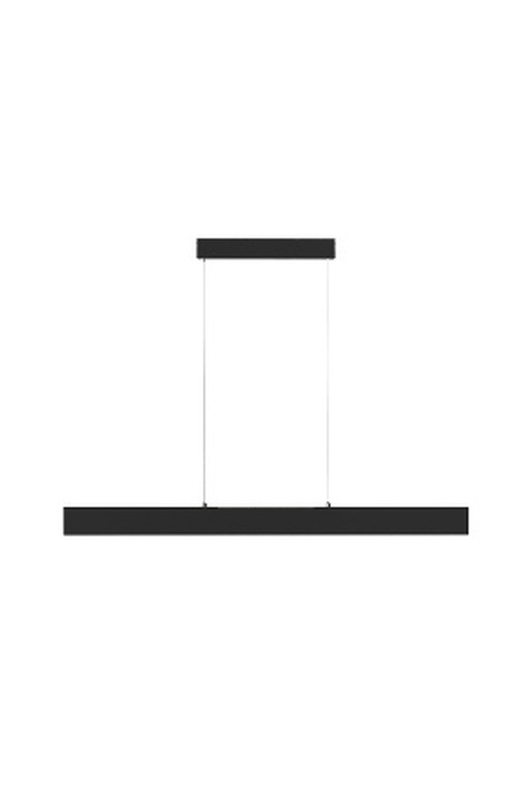 Pendant luminaire P010PL-L30B