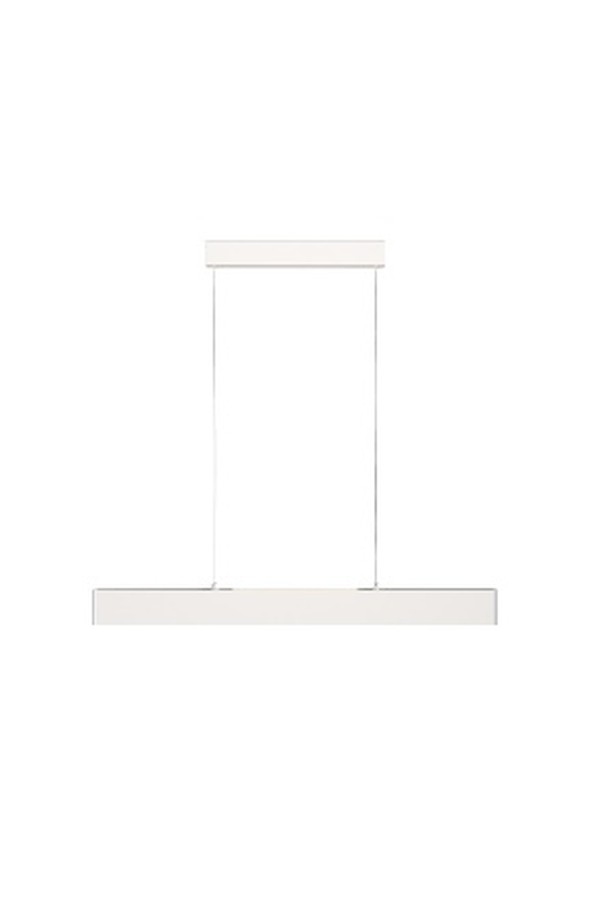 Pendant luminaire P010PL-L23W
