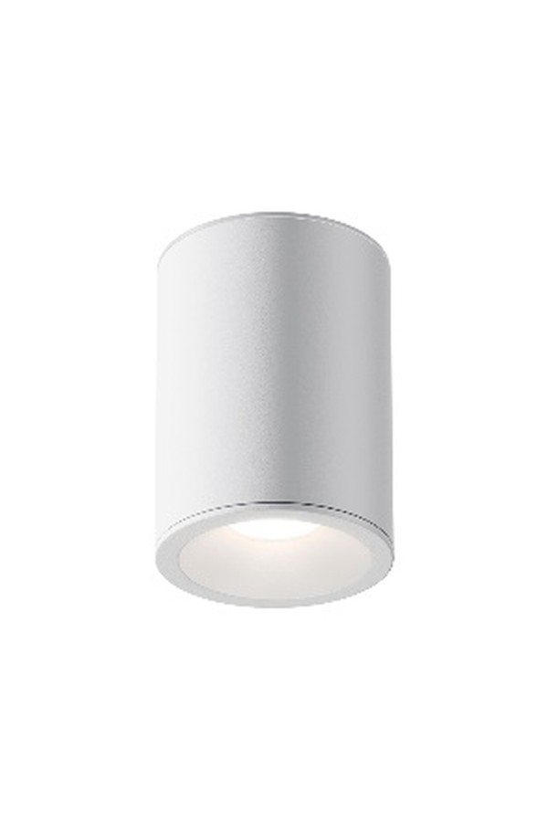 Ceiling luminaire C029CL-01W