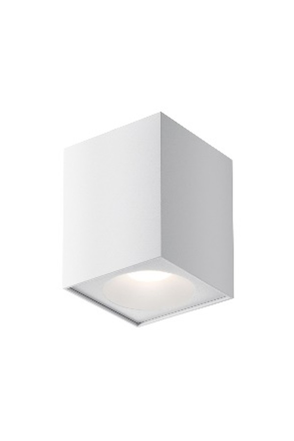 Ceiling luminaire C030CL-01W