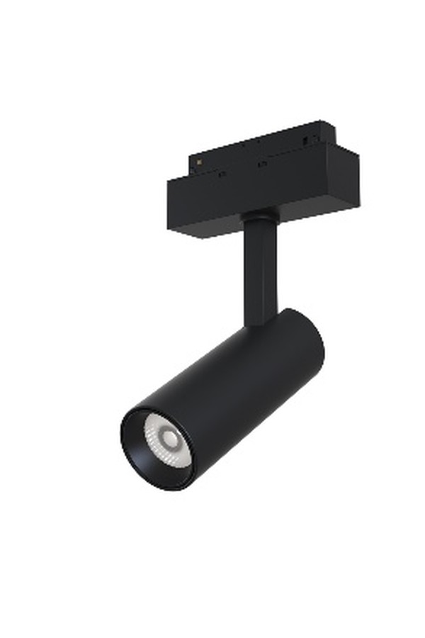 Track luminaire TR019-2-10W4K-B