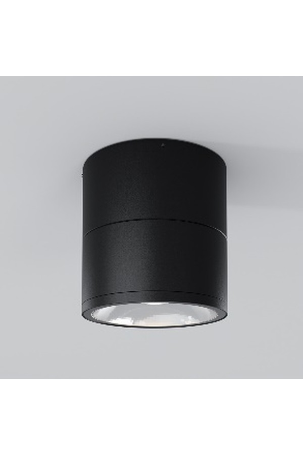 Ceiling Lamp O310CL-L12GF3K