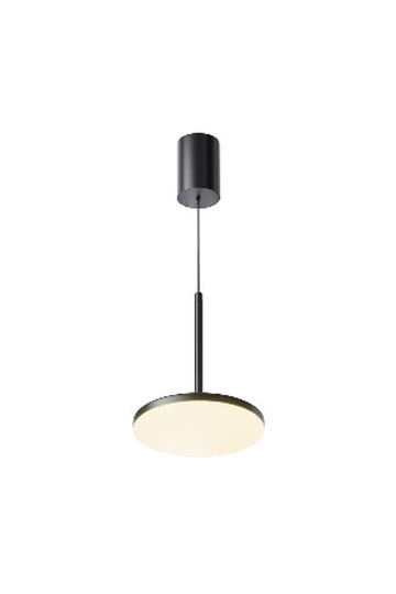 Pendant luminaire P076PL-L12W3K-B