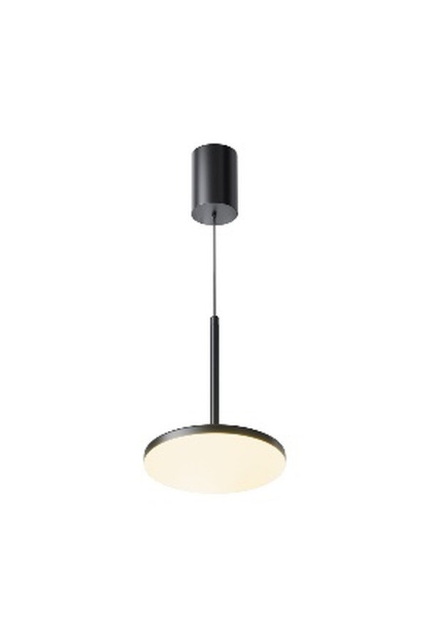 Pendant luminaire P076PL-L12W3K-B
