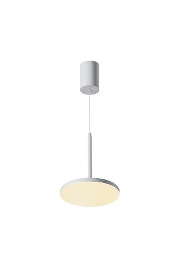 Pendant luminaire P076PL-L12W3K-W
