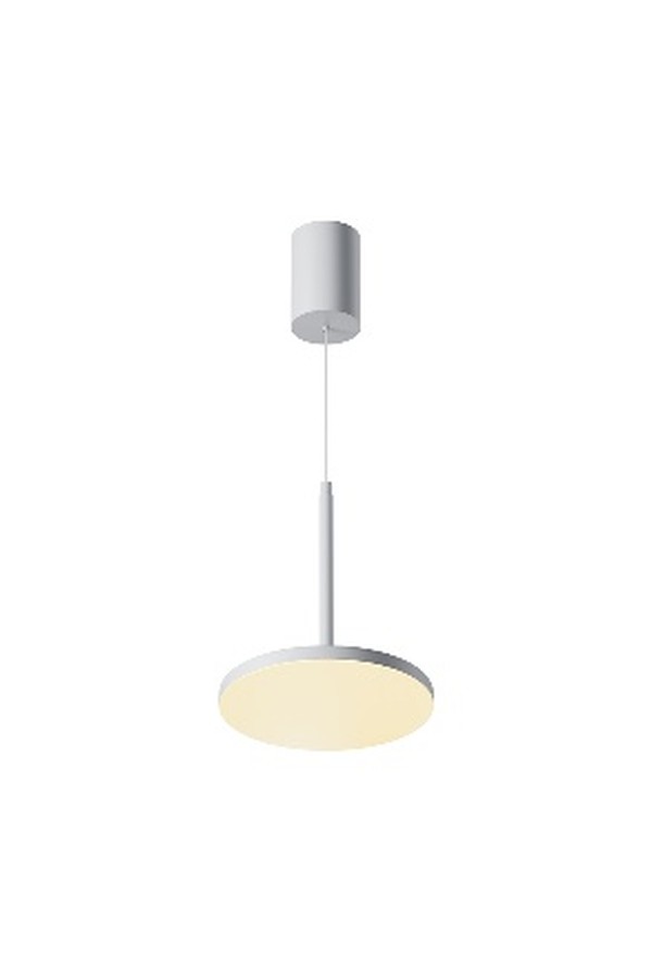 Pendant luminaire P076PL-L12W3K-W