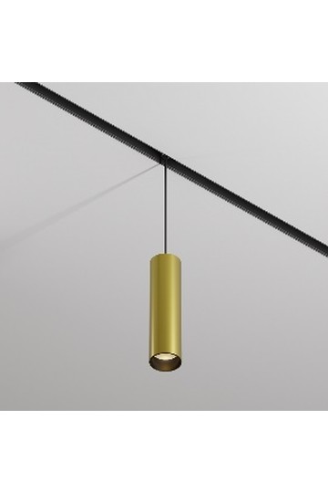 Pendant track luminaire TR041-2-12W3K-BBS