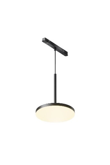 Pendant track luminaire TR123-2-15W3K-B