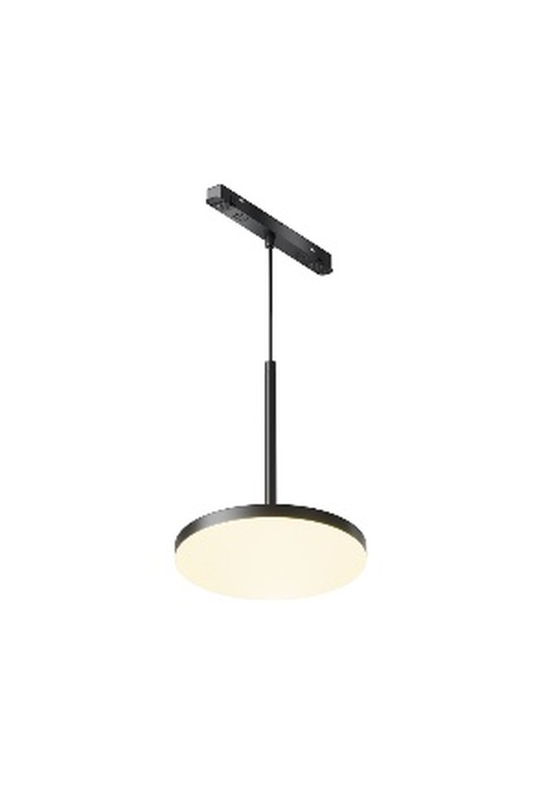 Pendant track luminaire TR123-2-15W3K-B