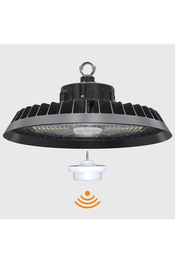 Sensor20300061